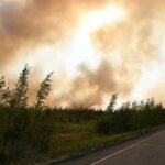 В России за сутки потушили 24 лесных пожара — РИА Новости, 10.09.2021